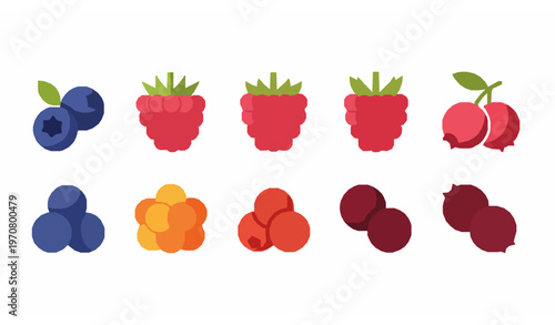 Wild berries icon set vector with blueberry raspberry cloudberry and cowberry in flat geometric style isolated on white background