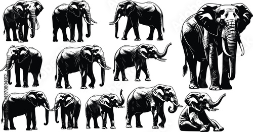 Collection of African Elephant Silhouette Vector Graphics Featuring Majestic Wildlife in Various Poses for Nature Conservation and Safari Themed Design