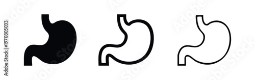 Human Stomach Organ Icons Set - Digestive System Anatomy Vector Illustration