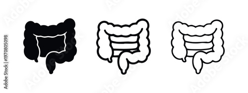 Large Intestine Icon Set. Human Digestive System Organ Symbol in Solid and Outline Styles.