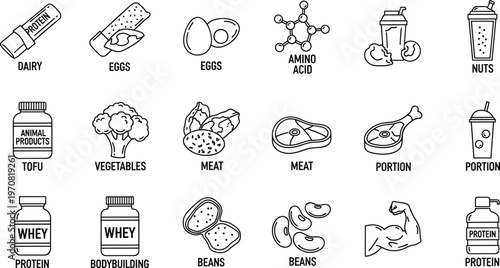Protein food line icons, dairy, eggs, meat, beans, whey protein, nutrition, bodybuilding outline vector icon set collection