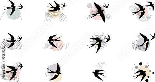 Set of Abstract Swallow Bird Illustrations with Dynamic Lines and Minimalist Design