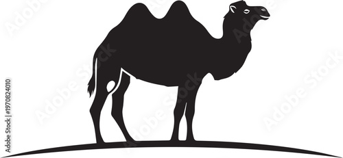 Black camel silhouette, desert animal icon, camel profile view, vector illustration