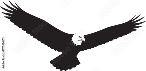 Black eagle silhouette, flying bird icon, American bald eagle, white background