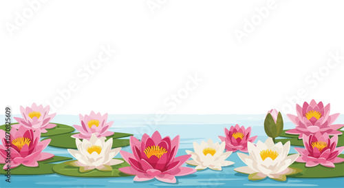 Beautiful pink and white water lilies floating serenely on rippling blue water with green lily pads
