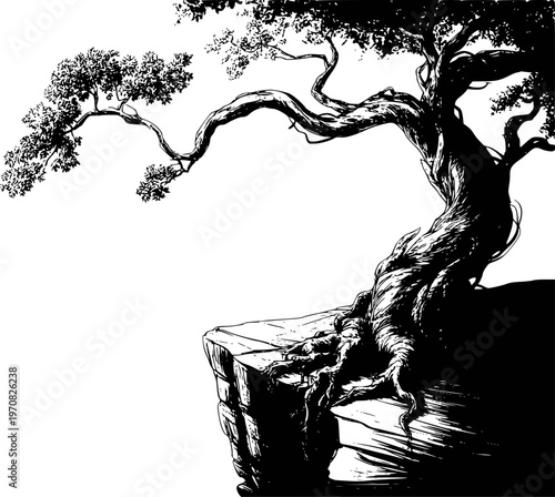 Ancient gnarled tree with exposed roots clinging to a rocky cliff edge