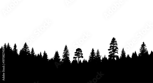Trees forest silhouette with coniferous trees and dense foliage on white background featuring pine, landscape, nature with environment and scenery