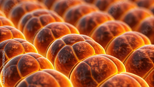 Adipose tissue cells close up with glowing orange and brown texture showing biological structure and energy storage in body