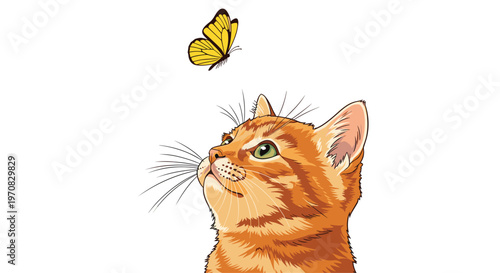 A close-up of a ginger kitten with green eyes and whiskers gazing upwards at a yellow butterfly on a white background.