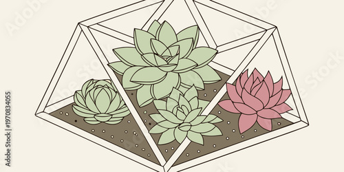 A minimalist vector illustration of a terrarium with succulents