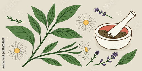 A vector graphic illustration of herbal medicine ingredients and tools