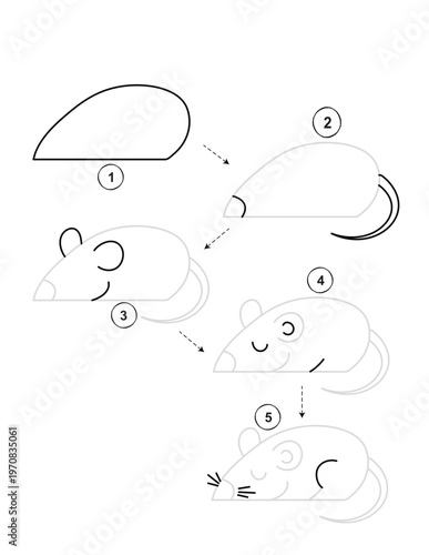 Step by step guide on how to draw a mouse for kids activity, isolated on transparent background