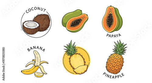 A colorful illustration of various tropical fruits.