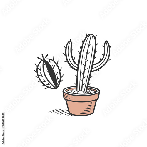 A minimalist vector illustration of a cactus in a pot with a small cactus beside it