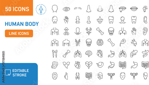 Human body anatomy line icon set with organs bones muscles and medical elements for healthcare education and science design