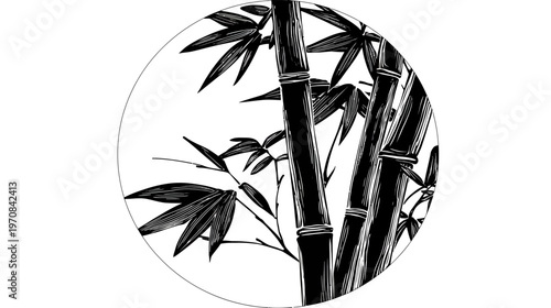 Monochrome illustration of bamboo stalks and leaves within a circular frame on a white background