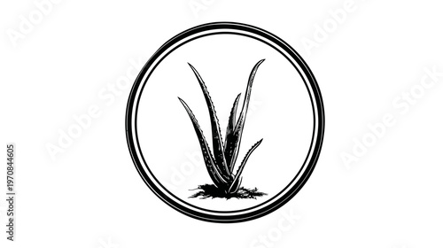 Black and white illustration of aloe vera plant within a double circular border on white background
