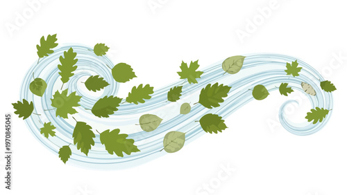 Hops Leaves in Water.