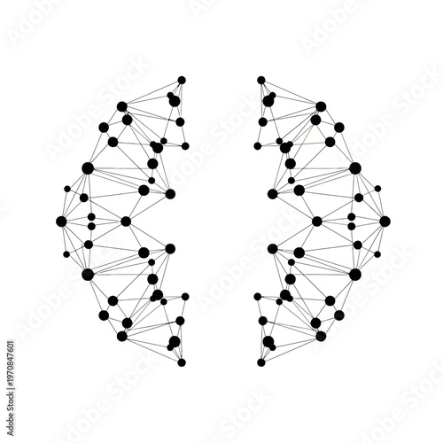 Black dots connected by lines network.