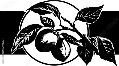 Black and white illustration of fruit, leaves, and branch within a circle and a horizontal stripe