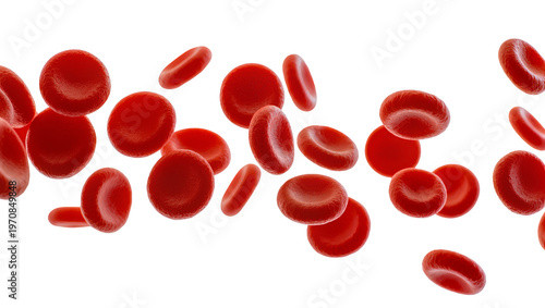Tableau sur toile Vibrant red blood cells floating, displaying diverse shapes and sizes
