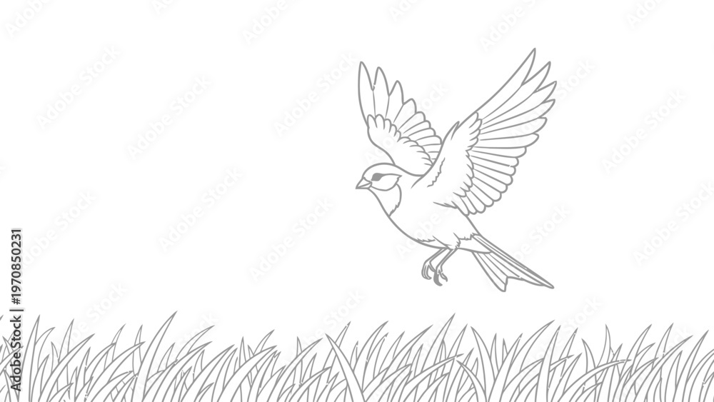 Obraz premium Bird Flying Over Grass.