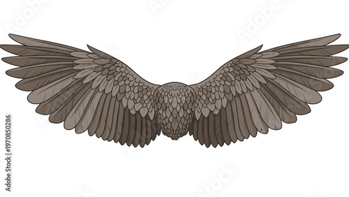 Bird Wings Spread Wide.