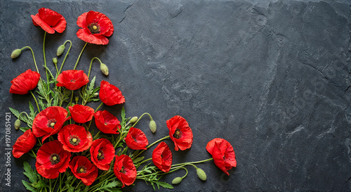 Red Poppies and the European Union Flag. VE Day