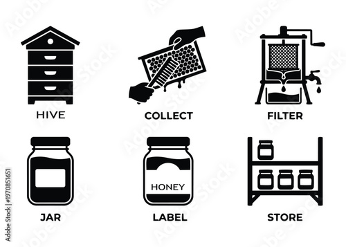 Honey production vector illustration, showing stages from hive to collecting, filtering and jarring.