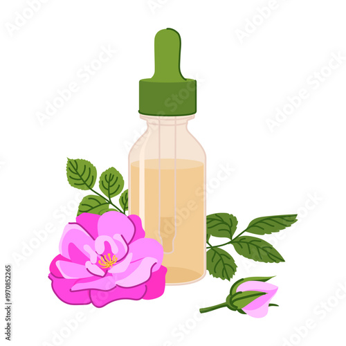 Dropper bottle and a pink Bulgarian rose. Glass vial with damask rose essential oil. Ingredient for cosmetics and perfumes. Flat design illustration. A bottle with a pipette and floral extract.
