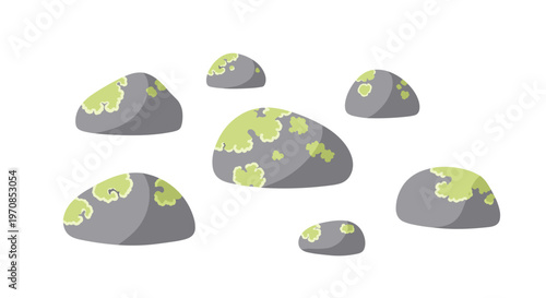 Seven smooth grey rocks with light green lichen patches are scattered on a white background.
