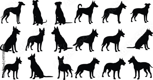 Collection of dog silhouettes in different poses, standing sitting and walking canine shapes, pet animal vector set isolated on white background