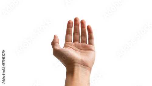 Tablou pe pânză Pale human hand palm up fingers spread offering gesture, wrist visible