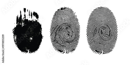 A series of three distinct black ink fingerprint impressions displayed against a plain white background isolated on white background, Vector, illustration