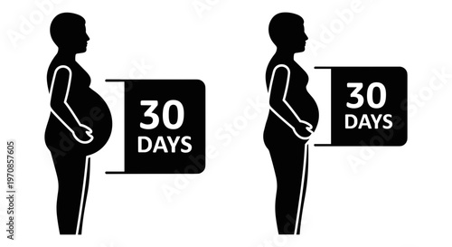 Comparison of pregnancy timelines between two different stages of gestation Vector, illustration