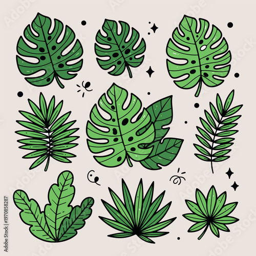 Monstera deliciosa leaves set, tropical plant foliage icons, green jungle leaf vector, indoor houseplant botany art, exotic rainforest foliage sketches, modern botanical garden doodles, nature greener
