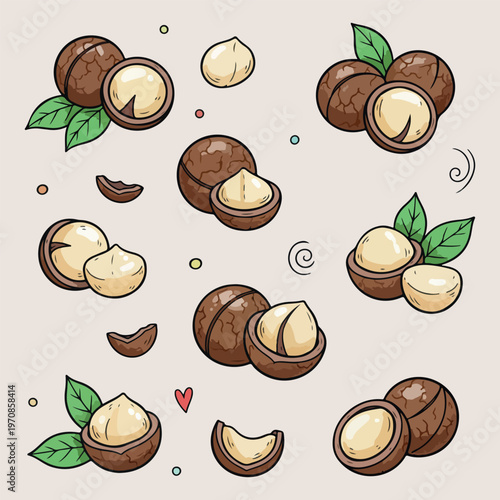 Macadamia nut whole kernels, healthy organic nut snacks, superfood ingredients vector set, macadamia nut shell sketches, natural vegan food icons, healthy fat food illustration, cracked nut shell dood