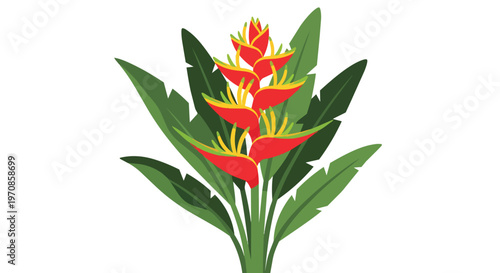 Tropical Heliconia Flower Illustration with Vibrant Red and Yellow Petals