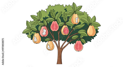Cartoon Guava Tree with Ripe and Cut Fruits Illustration