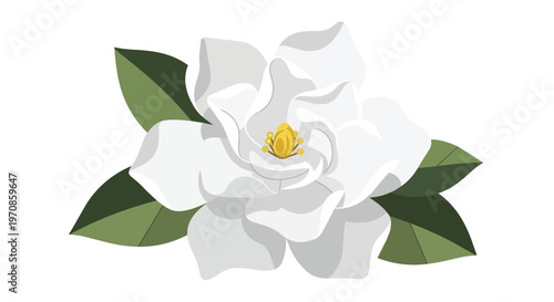 Beautiful White Gardenia Flower Illustration with Green Leaves