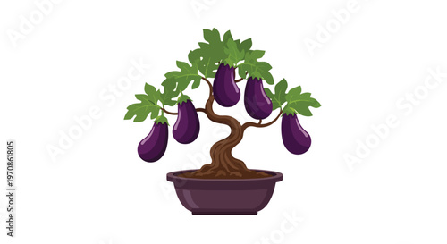 Creative Bonsai Tree with Ripe Eggplant Fruits in a Pot