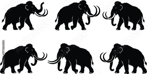Set of woolly mammoth silhouettes in various poses, prehistoric animal figures isolated on white background, ice age wildlife illustration for design and educational use