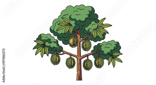 Illustration of a Durian Tree with Ripe Spiky Fruit