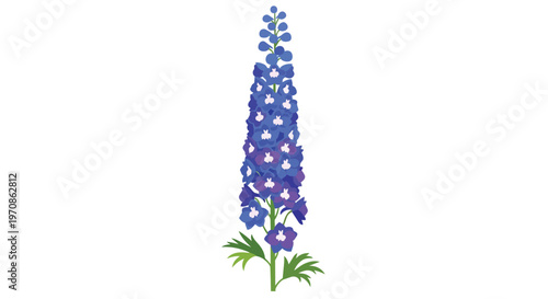 Beautiful Blue Delphinium Flower Illustration Isolated on White Background