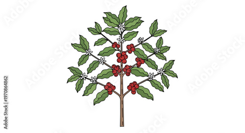 Illustration of a Coffee Tree with Red Berries and White Flowers