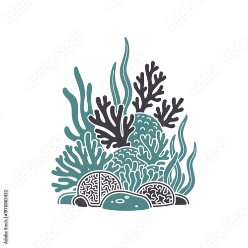 Coral Reef Marine Life Illustration.