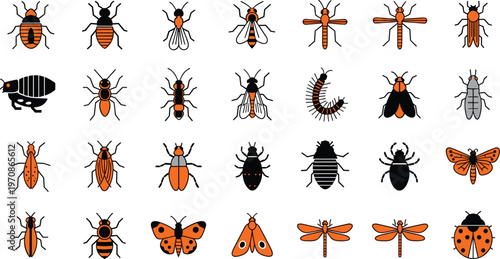 Orange and Black Insect Icon Collection Featuring Beetles Flies Dragonflies Butterflies and Various Bugs in Flat Vector Illustration Set