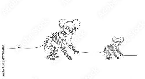 Koala Skeleton Line Art: Mother and Baby on White Background