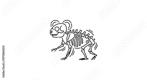 Koala skeleton illustration, cute cartoon animal bones, prehistoric fossil discovery