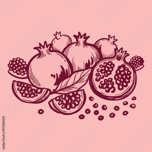 Vintage hand-drawn pomegranate illustration with whole fruit, halves, and seeds, engraved style vector art on a pink background.